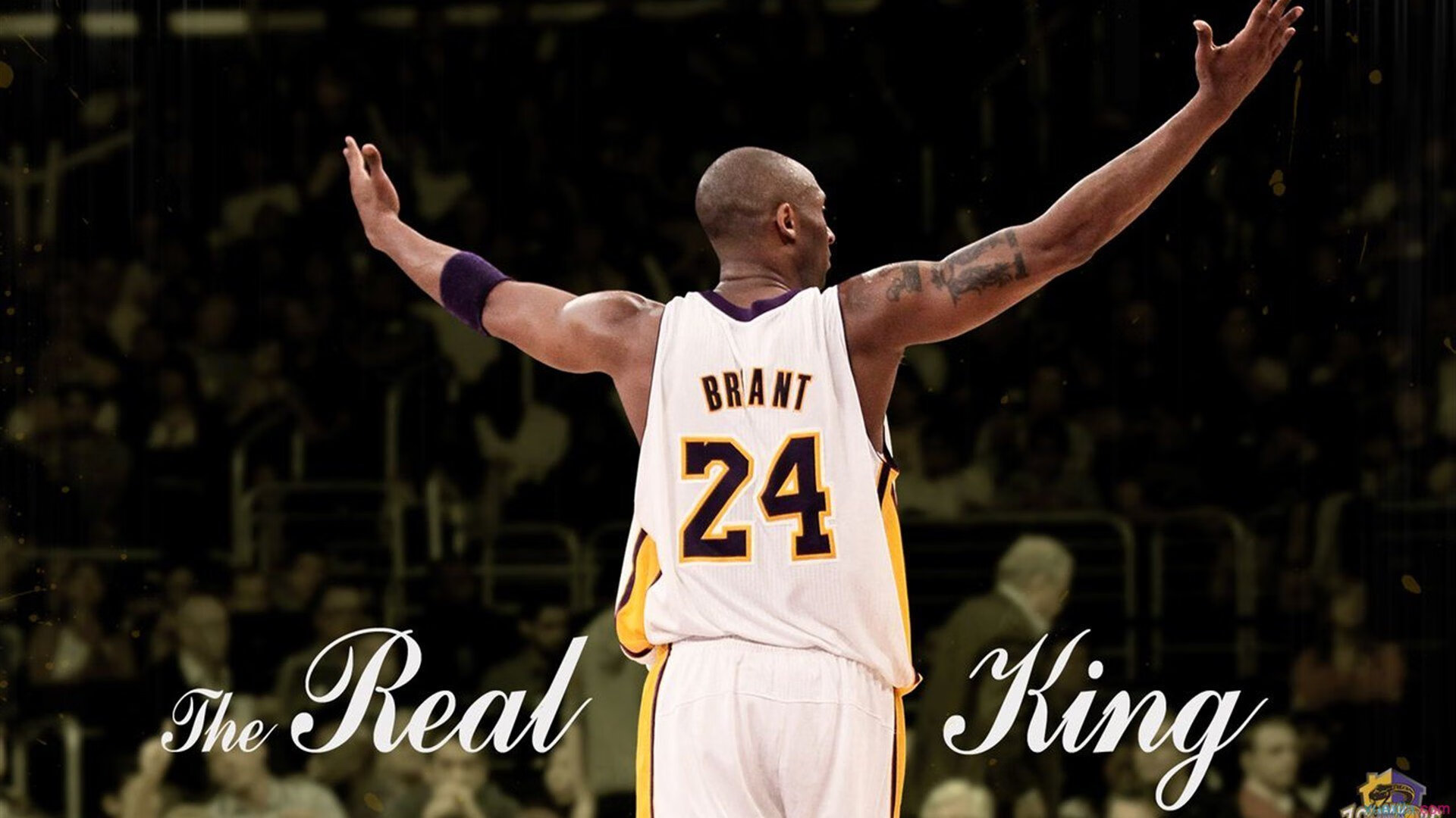 JiuyouAPP下载-WRC最具爆点的比赛总结与精彩瞬间回顾，wrc经典视频