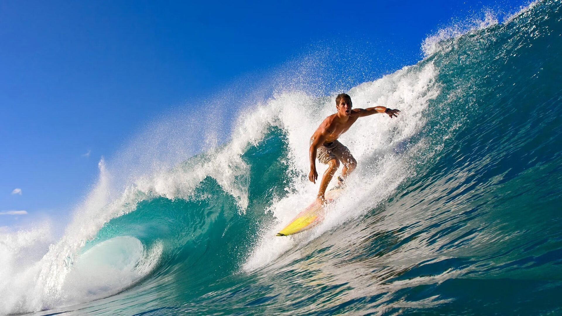 体育新闻中心协办全国体育数据应用技术交流会，体育大数据中心